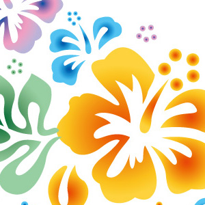 11/7〜9　休業（沖縄ライブツアー）